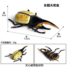 Load image into Gallery viewer, Simulated Insect Animal Figurine Model Spider Grasshopper Butterfly Snail Action Figure Scene Decoration Kids Collect Toys Gifts
