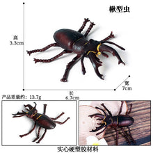 Load image into Gallery viewer, Simulated Insect Animal Figurine Model Spider Grasshopper Butterfly Snail Action Figure Scene Decoration Kids Collect Toys Gifts
