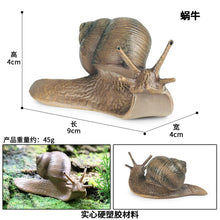 Load image into Gallery viewer, Simulated Insect Animal Figurine Model Spider Grasshopper Butterfly Snail Action Figure Scene Decoration Kids Collect Toys Gifts
