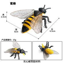 Load image into Gallery viewer, Simulated Insect Animal Figurine Model Spider Grasshopper Butterfly Snail Action Figure Scene Decoration Kids Collect Toys Gifts
