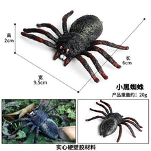 Load image into Gallery viewer, Simulated Insect Animal Figurine Model Spider Grasshopper Butterfly Snail Action Figure Scene Decoration Kids Collect Toys Gifts
