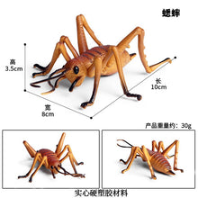 Load image into Gallery viewer, Simulated Insect Animal Figurine Model Spider Grasshopper Butterfly Snail Action Figure Scene Decoration Kids Collect Toys Gifts
