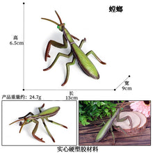 Load image into Gallery viewer, Simulated Insect Animal Figurine Model Spider Grasshopper Butterfly Snail Action Figure Scene Decoration Kids Collect Toys Gifts
