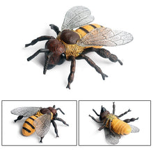Load image into Gallery viewer, Simulated Insect Animal Figurine Model Spider Grasshopper Butterfly Snail Action Figure Scene Decoration Kids Collect Toys Gifts
