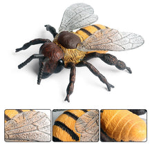 Load image into Gallery viewer, Simulation Animal Insect PVC ladybug Bee spider Model Action Figure Collection Miniature Cognition Educational Toys for Children
