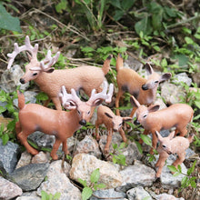 Load image into Gallery viewer, Simulation Forest Deer Figurines Moose,Elk,reindeer,Alpaca,Sika deer Action Figures Animal Model Decoration Cake Toppers Toys
