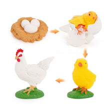 Load image into Gallery viewer, Simulation Life Cycle Of A Green Bean Plant Growth Cycle Model Action Figures Collection Science Educational Toys For Children
