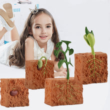 Load image into Gallery viewer, Simulation Life Cycle of a Green Bean Plant Growth Cycle Model Action Figures Collection Science Educational Toys for Children
