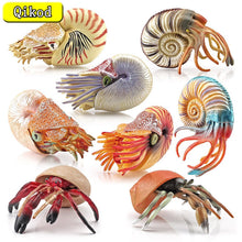 Load image into Gallery viewer, Simulation Marine Animal Model Hermit Crab Nautilus Fish Tank Ornaments Figurines Action Figures Children's Educational Toy Gift

