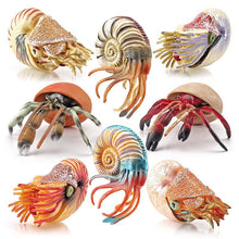 Load image into Gallery viewer, Simulation Marine Animal Model Hermit Crab Nautilus Fish Tank Ornaments Figurines Action Figures Children's Educational Toy Gift

