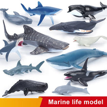 Load image into Gallery viewer, Simulation Marine Sea Life Whale Figurines Shark Cachalot Action Figures Ocean Animal Model Dolphin Hammerhead Educational Toys
