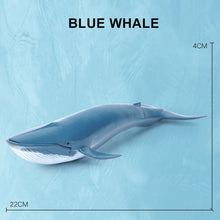 Load image into Gallery viewer, Simulation Marine Sea Life Whale Figurines Shark Cachalot Action Figures Ocean Animal Model Dolphin Hammerhead Educational Toys
