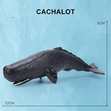 Load image into Gallery viewer, Simulation Marine Sea Life Whale Figurines Shark Cachalot Action Figures Ocean Animal Model Dolphin Hammerhead Educational Toys
