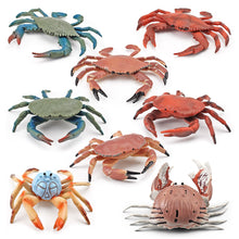 Load image into Gallery viewer, Simulation Sea Life Crab Ocean Animals Calappa lophos Model Figurines ornament PVC Action Figure children Collection Toy Gifts
