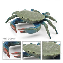 Load image into Gallery viewer, Simulation Sea Life Crab Ocean Animals Calappa lophos Model Figurines ornament PVC Action Figure children Collection Toy Gifts
