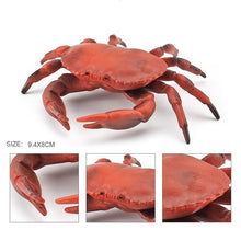 Load image into Gallery viewer, Simulation Sea Life Crab Ocean Animals Calappa lophos Model Figurines ornament PVC Action Figure children Collection Toy Gifts
