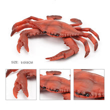 Load image into Gallery viewer, Simulation Sea Life Crab Ocean Animals Calappa lophos Model Figurines ornament PVC Action Figure children Collection Toy Gifts
