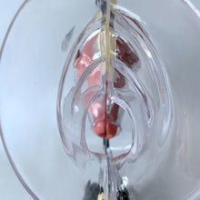 Load image into Gallery viewer, Transparent Uterus Model Visible Human Vagina Anatomical Model Female Reproductive Organ Model for Medical Educational Training
