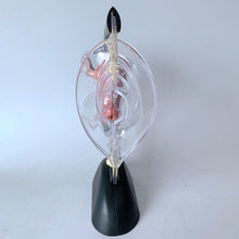 Load image into Gallery viewer, Transparent Uterus Model Visible Human Vagina Anatomical Model Female Reproductive Organ Model for Medical Educational Training
