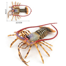 Load image into Gallery viewer, Big Size Animal Figurines Ocean Sea Life Action Figure Simulated Lobster Models Children Kids Baby Toys Gift Collection Toy
