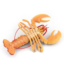 Load image into Gallery viewer, Big Size Animal Figurines Ocean Sea Life Action Figure Simulated Lobster Models Children Kids Baby Toys Gift Collection Toy
