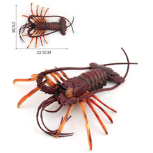Load image into Gallery viewer, Big Size Animal Figurines Ocean Sea Life Action Figure Simulated Lobster Models Children Kids Baby Toys Gift Collection Toy
