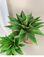 Load image into Gallery viewer, Artificial Plant Tropical Green Plant Agave Artificial Gladiolus Bunches Succulent Plant Domestic Ornaments
