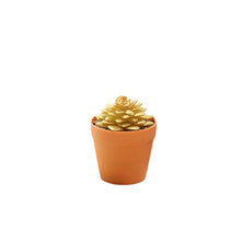Load image into Gallery viewer, Succulent Plant Bonsai Creative Decoration Gift Flower Plant Interior Decoration
