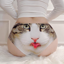 Load image into Gallery viewer, Cat Print Panties Hip-wrapped Fashion Waist Lace Briefs
