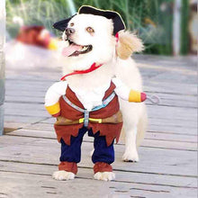 Load image into Gallery viewer, Pet Cat Costumes Pirate Skull Pattern Halloween Party Costume Clothes Accessories

