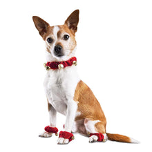 Load image into Gallery viewer, Pet Halloween Costume Dog Collar with Pastern Ring for Dogs Party Props

