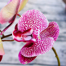 Load image into Gallery viewer, 5pcs 1 Bundle（6 Heads） Plastic Butterfly Orchid Vases for Home Decor Wedding Decorative Plants Christmas Gifts Box Artificial Flowers
