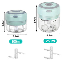 Load image into Gallery viewer, 100/250mL Mini Electric Garlic Chopper USB Charging Ginger Masher Machine Sturdy Durable Chili Vegetable Crusher Kitchen Tool
