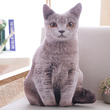 Load image into Gallery viewer, 1pc 50cm Simulation Plush Cat Pillows Soft Stuffed Animals Cushion Sofa Decor Cartoon Plush Toys for Children Kids Gift
