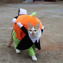 Load image into Gallery viewer, Pet Halloween Cosplay Clothes Funny Pumpkin Dog Costume for Small Dog
