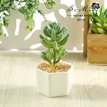 Load image into Gallery viewer, Artificial Succulent Pant Bonsai (Pot Included) Artificial Flower Creative Decoration Artificial Plant
