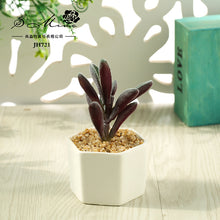 Load image into Gallery viewer, Artificial Succulent Pant Bonsai (Pot Included) Artificial Flower Creative Decoration Artificial Plant
