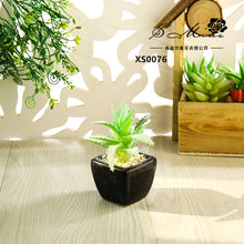 Load image into Gallery viewer, Mini Artificial Succulent Pant Bonsai (Pot Included) Creative Decoration Artificial Flower Yiwu Artificial Plant
