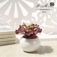 Load image into Gallery viewer, Artificial Succulent Pant Potted Plant (Pot Included) Artificial Flower Bonsai Home Decoration Artificial Plant
