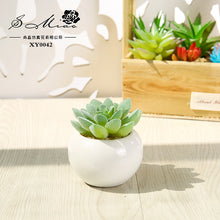 Load image into Gallery viewer, Small round Basin Mini Artificial Succulent Pant Potted Plant (Pot Included) Emulational Flower Decoration
