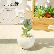 Load image into Gallery viewer, Small round Basin Mini Artificial Succulent Pant Potted Plant (Pot Included) Emulational Flower Decoration

