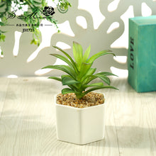 Load image into Gallery viewer, Artificial Succulent Pant Bonsai (Pot Included) Artificial Flower Creative Decoration Artificial Plant
