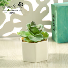 Load image into Gallery viewer, Artificial Succulent Pant Bonsai (Pot Included) Artificial Flower Creative Decoration Artificial Plant
