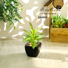 Load image into Gallery viewer, Mini Artificial Succulent Pant Bonsai (Pot Included) Creative Decoration Artificial Flower Yiwu Artificial Plant
