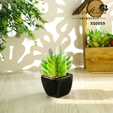 Load image into Gallery viewer, Mini Artificial Succulent Pant Bonsai (Pot Included) Creative Decoration Artificial Flower Yiwu Artificial Plant

