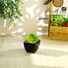 Load image into Gallery viewer, Mini Artificial Succulent Pant Bonsai (Pot Included) Creative Decoration Artificial Flower Yiwu Artificial Plant

