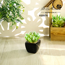 Load image into Gallery viewer, Mini Artificial Succulent Pant Bonsai (Pot Included) Creative Decoration Artificial Flower Yiwu Artificial Plant
