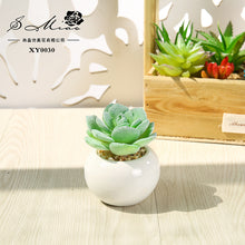 Load image into Gallery viewer, Small round Basin Mini Artificial Succulent Pant Potted Plant (Pot Included) Emulational Flower Decoration
