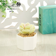 Load image into Gallery viewer, Artificial Succulent Pant Bonsai (Pot Included) Artificial Flower Creative Decoration Artificial Plant
