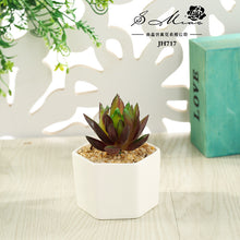 Load image into Gallery viewer, Artificial Succulent Pant Bonsai (Pot Included) Artificial Flower Creative Decoration Artificial Plant
